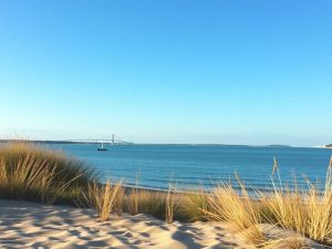 Body rubs on Long Island: finding safe, professional massage and knowing what to expect