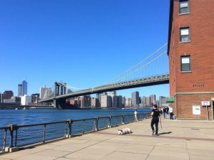 Rub and Tug Brooklyn, NY: What It Is, Why It Matters, and How to Respond Safely